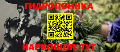 гидра Славянск-на-Кубани