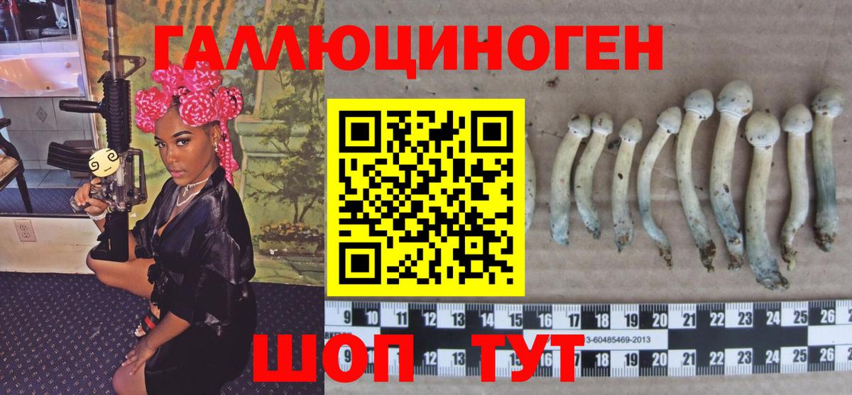 купить  сайты  Вход с VPN  Псков  Галлюциногенные грибы прущие грибы 