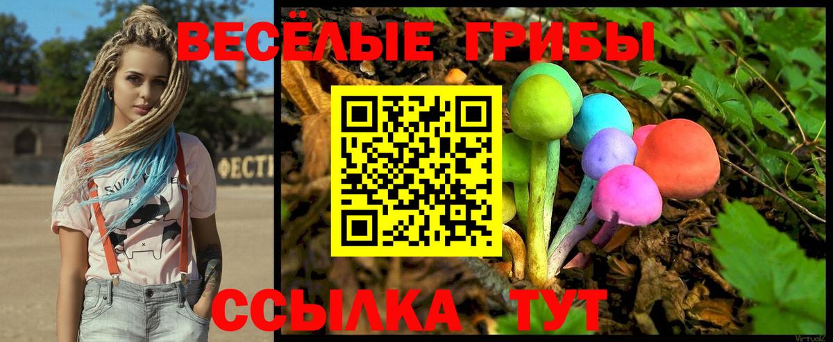 Галлюциногенные грибы Psilocybe Псков